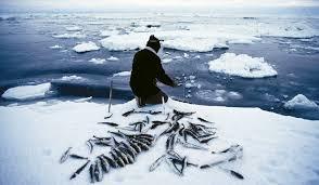 In An Arctic Landscape, Get To Sea Ice