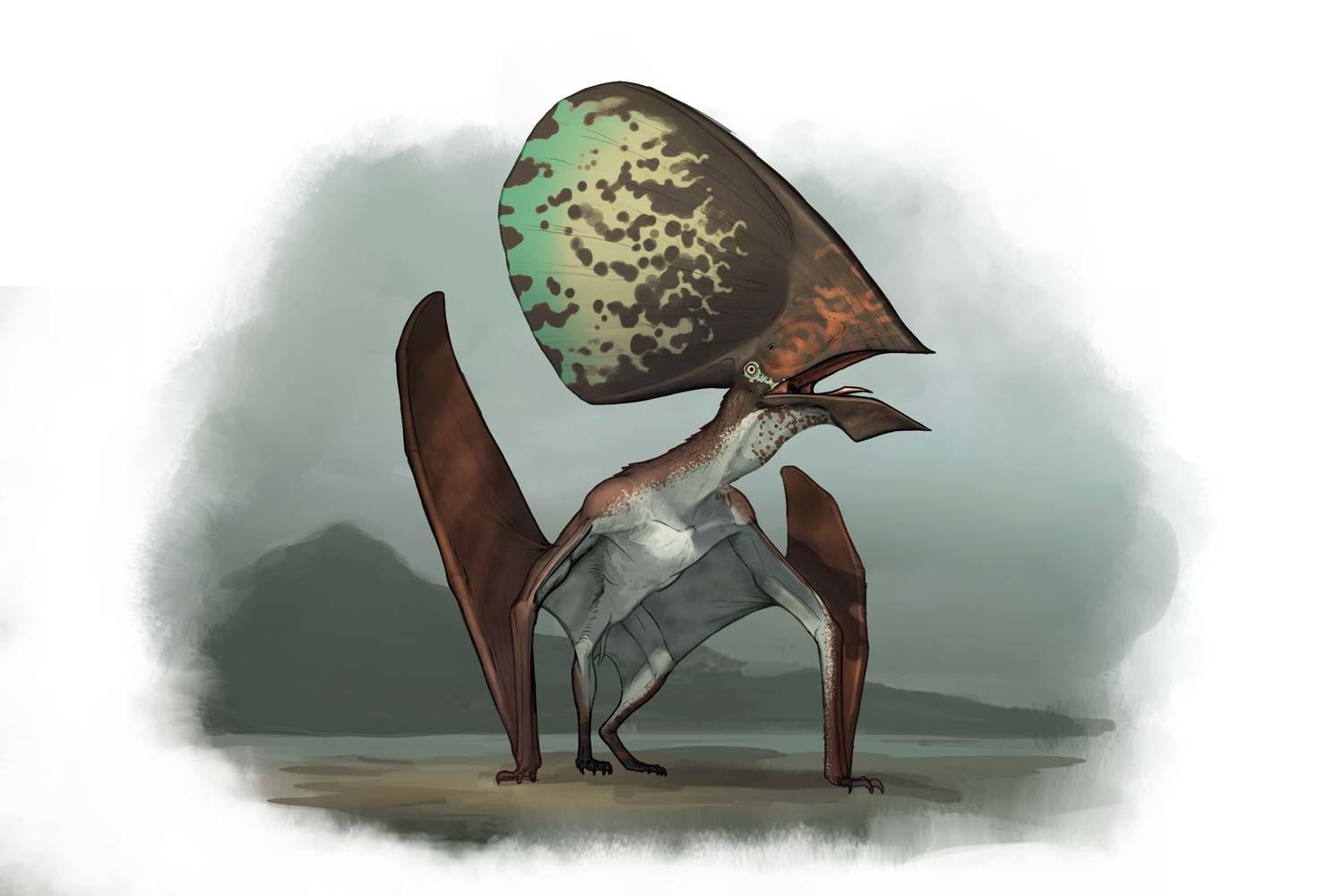 Pterosaurs