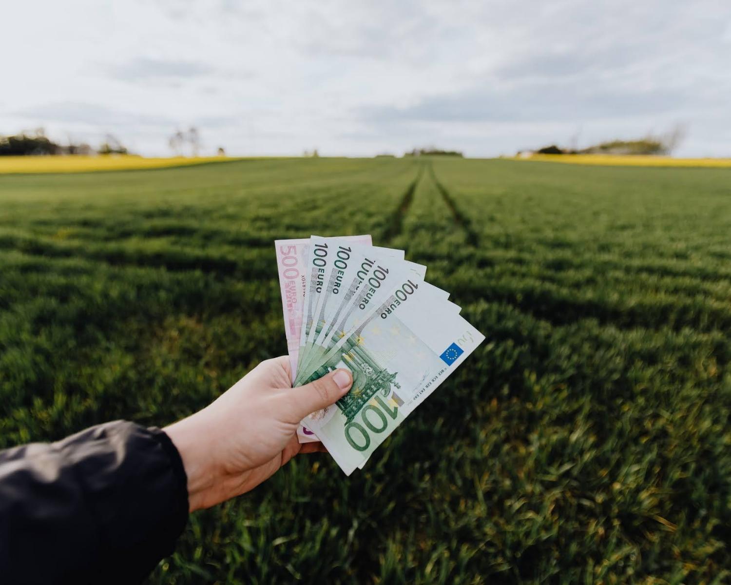 Whatever,you have learned about money in life are wrong