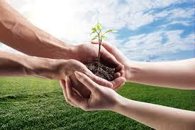Growth Beliefs
