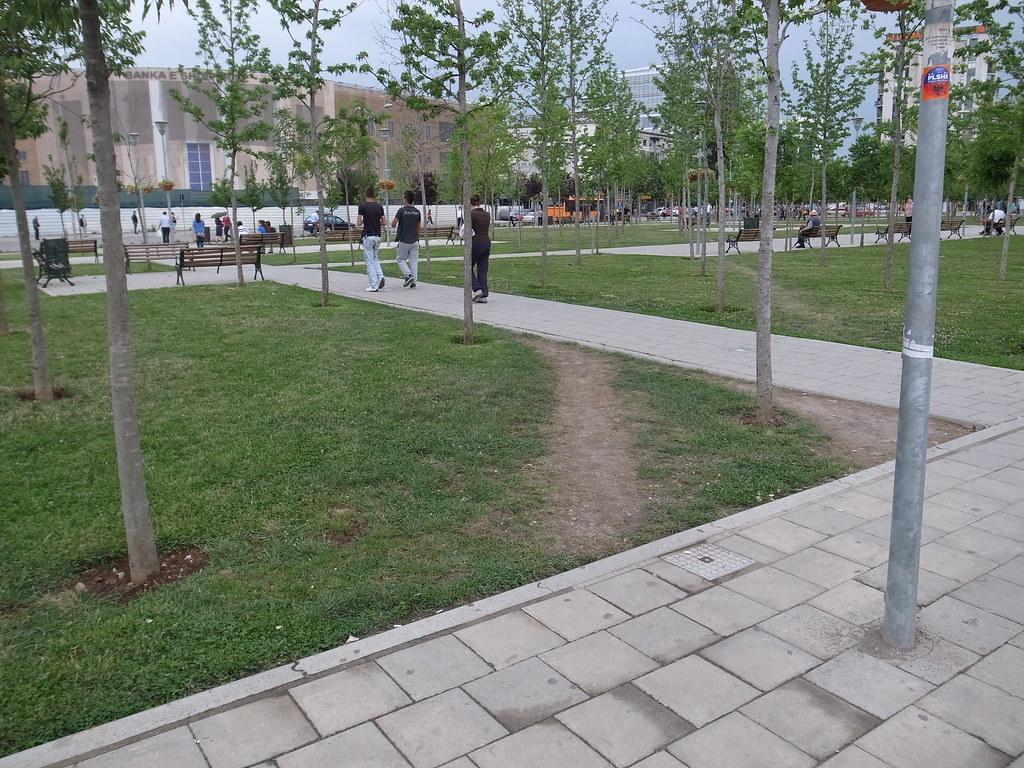 What do Desire Paths show us about free will?