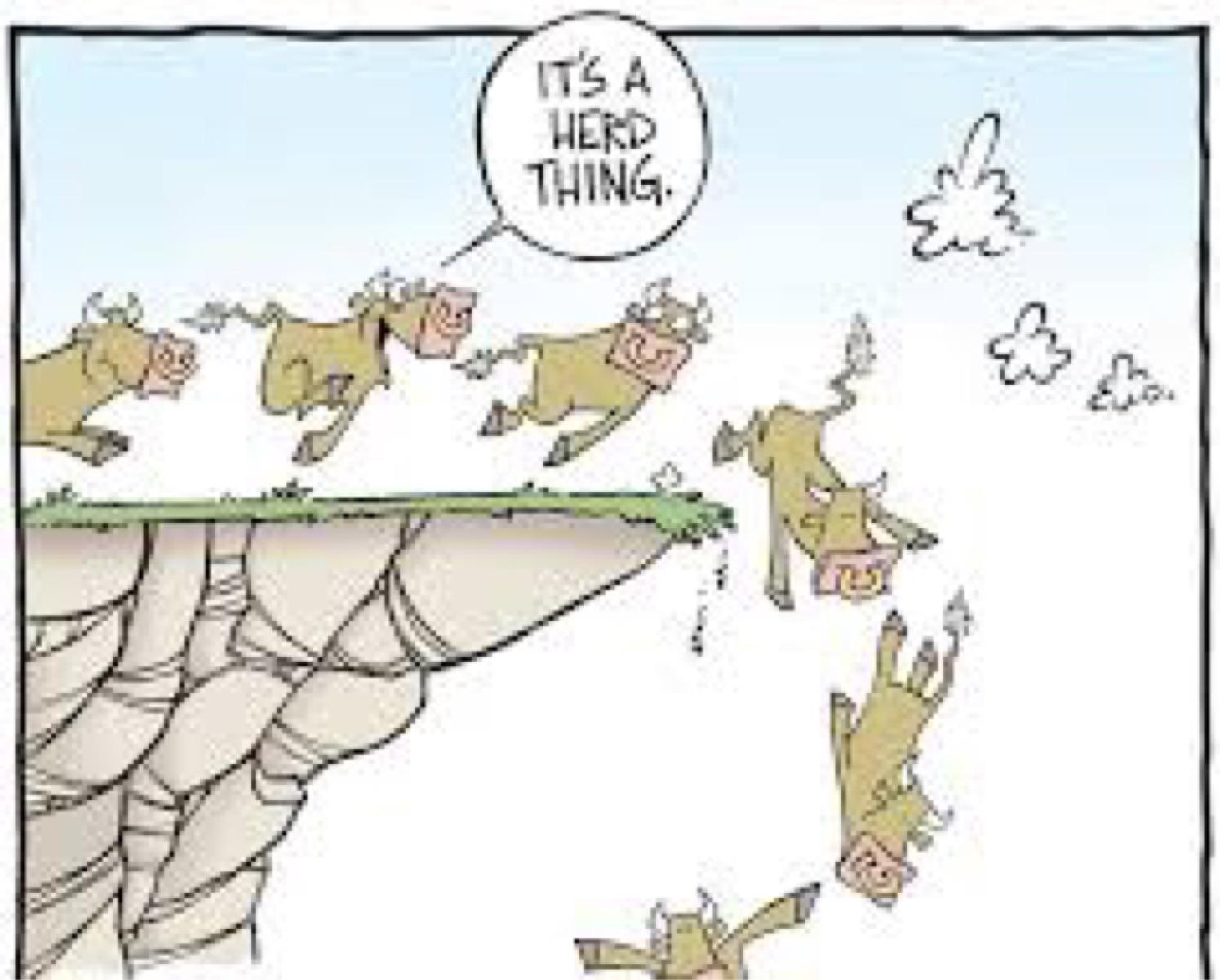 Abandon the herd mentality 