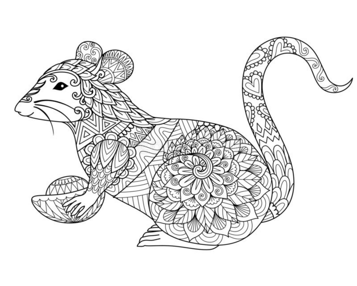 Year Of The Rat
