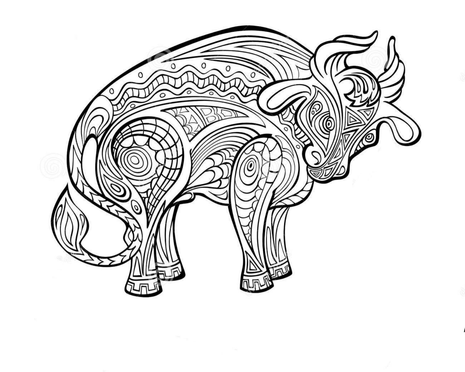 Year Of The Ox