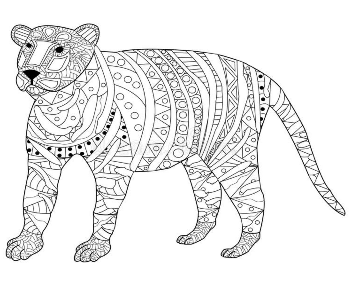 Year Of The Tiger