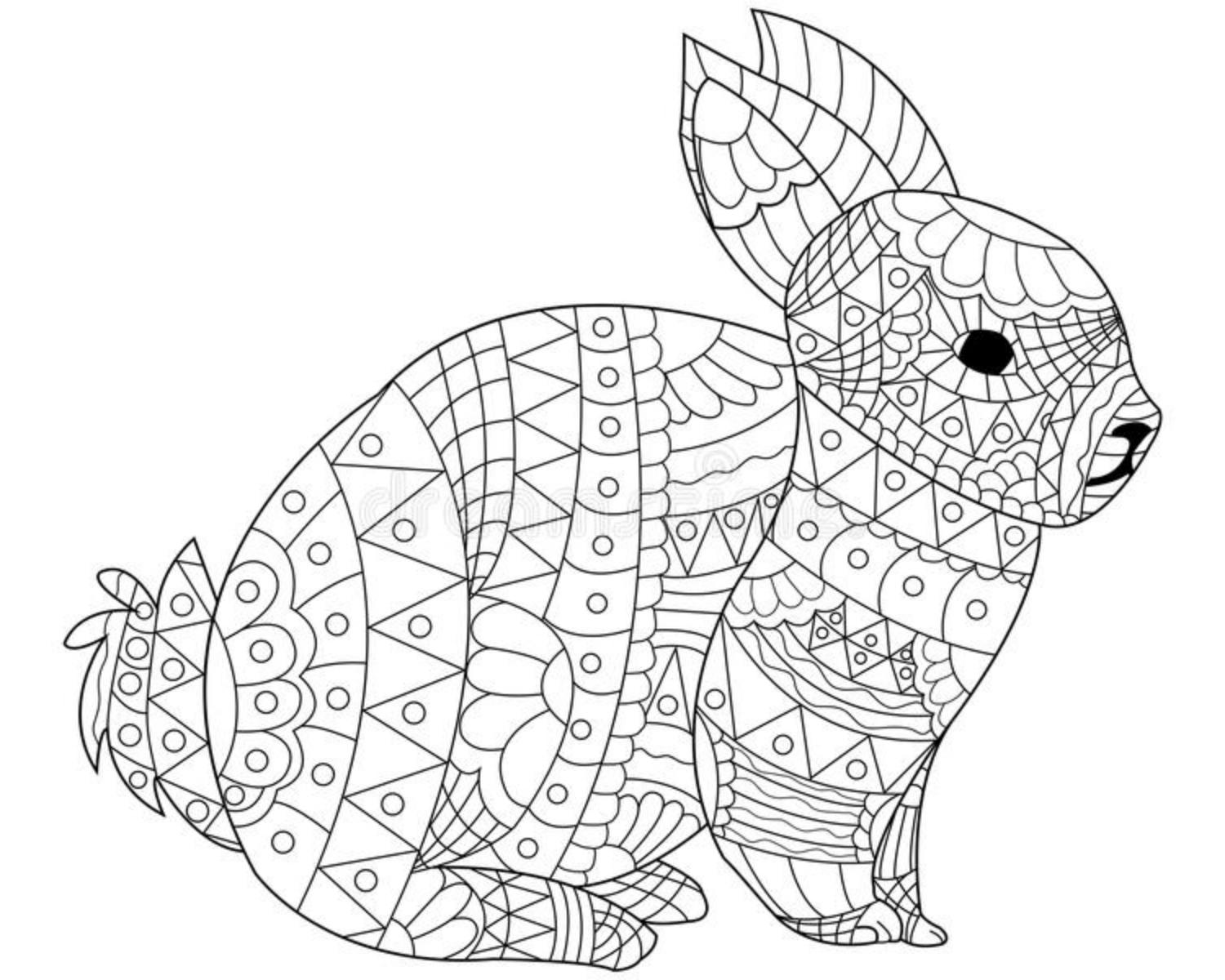 Year Of The Rabbit