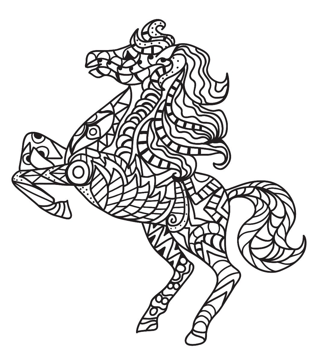 Year Of The Horse