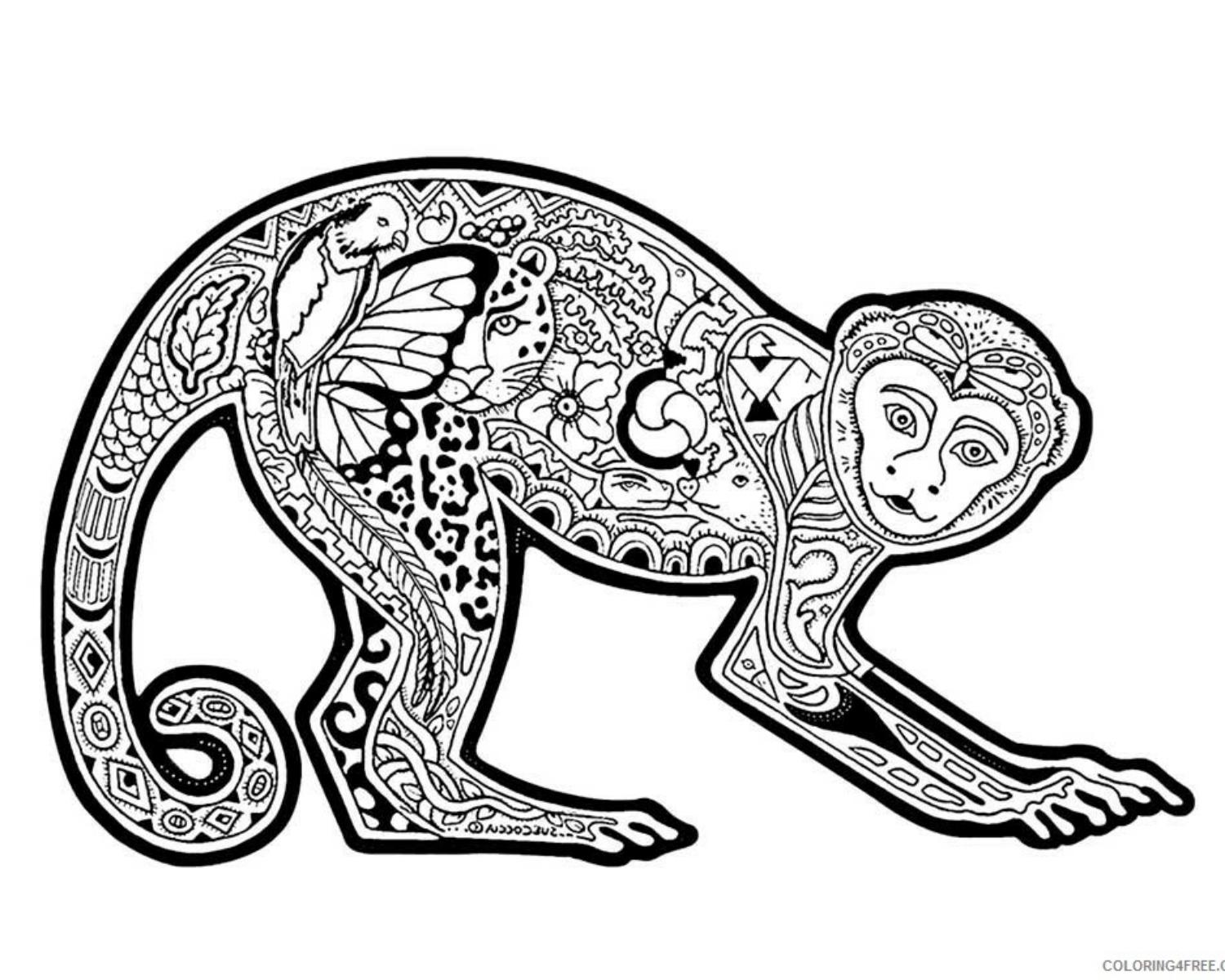 Year Of The Monkey