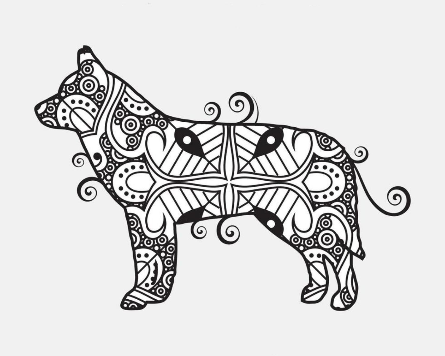 Year Of The Dog