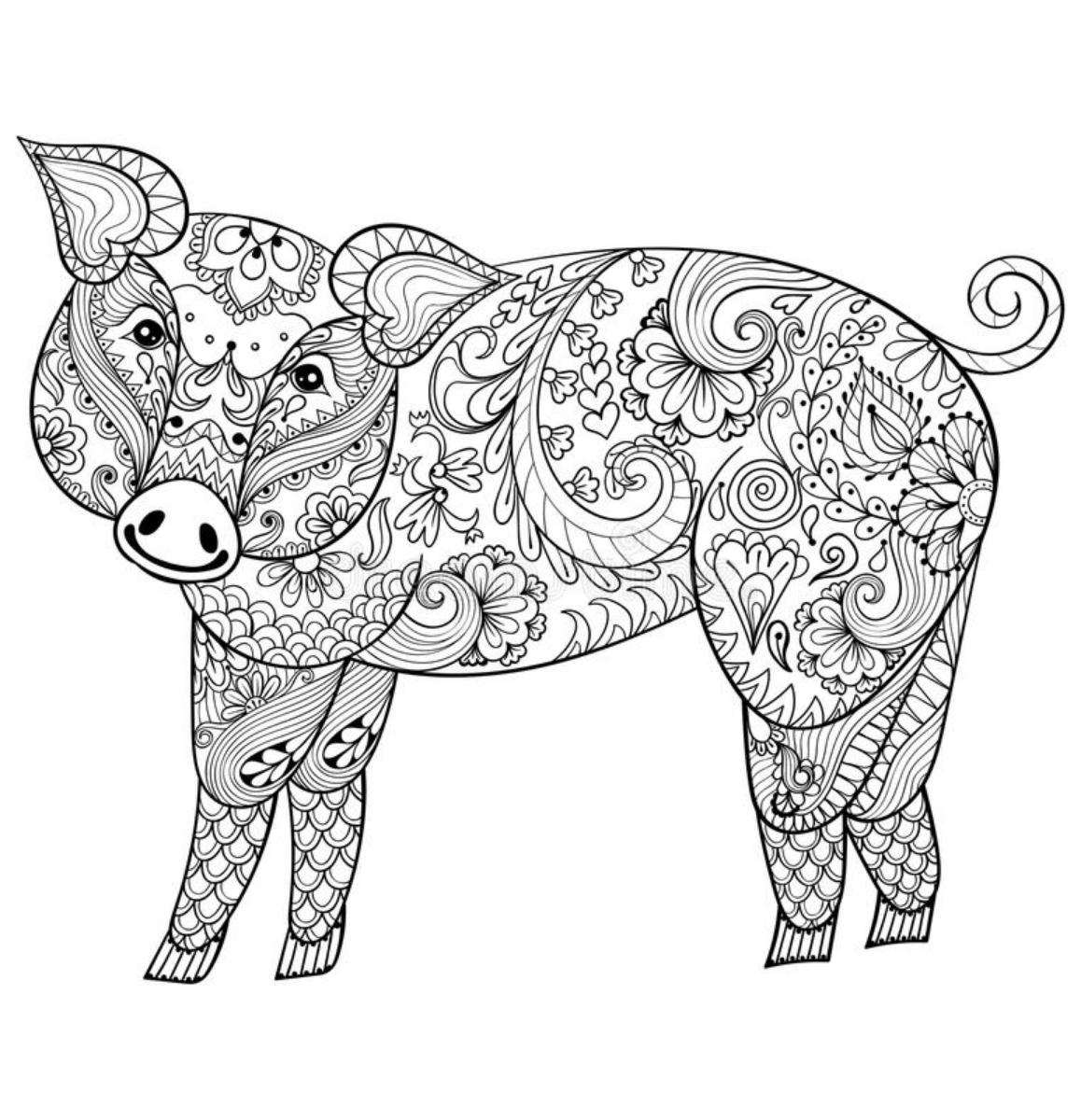 Year Of The Pig