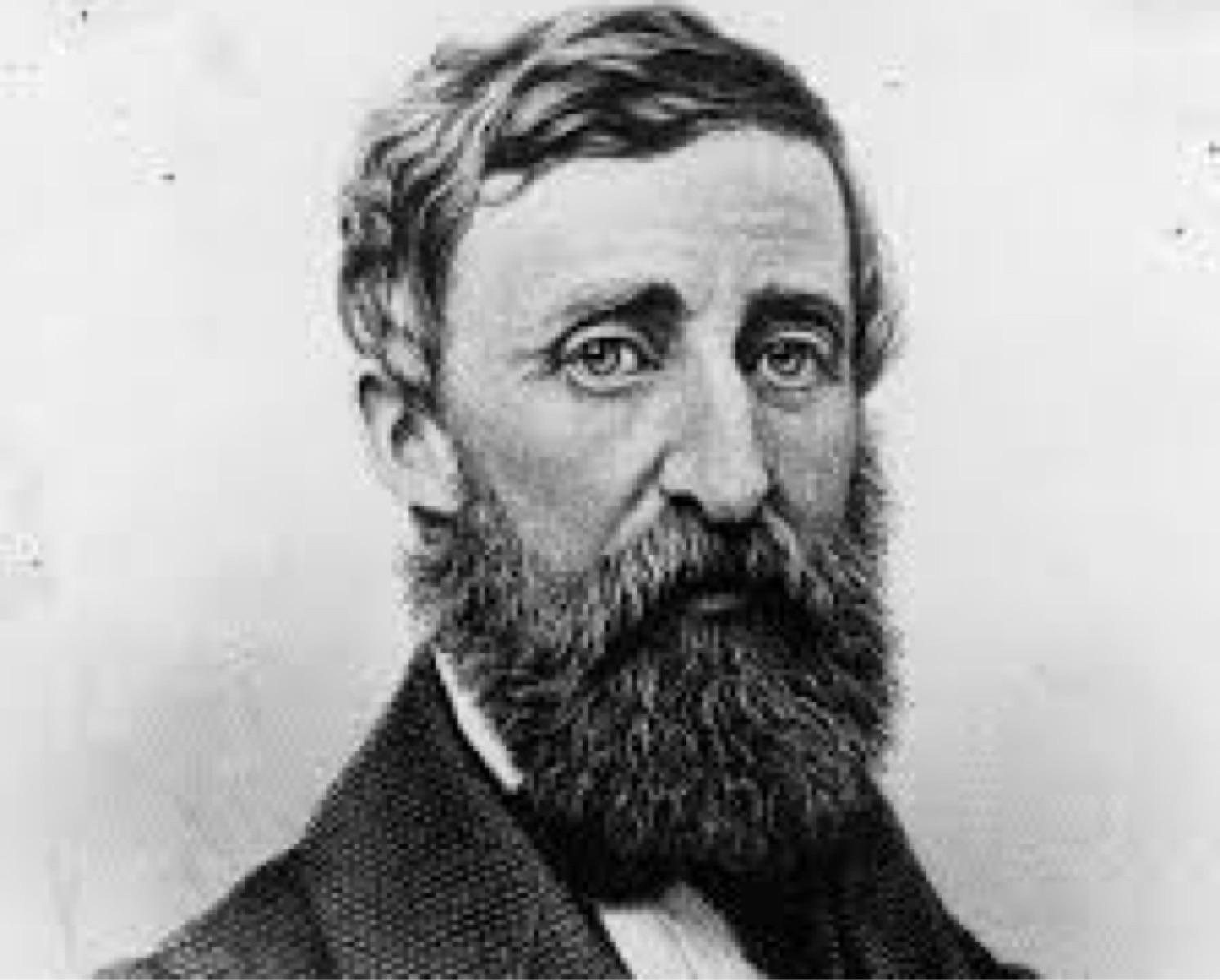 HENRY DAVID THOREAU 
