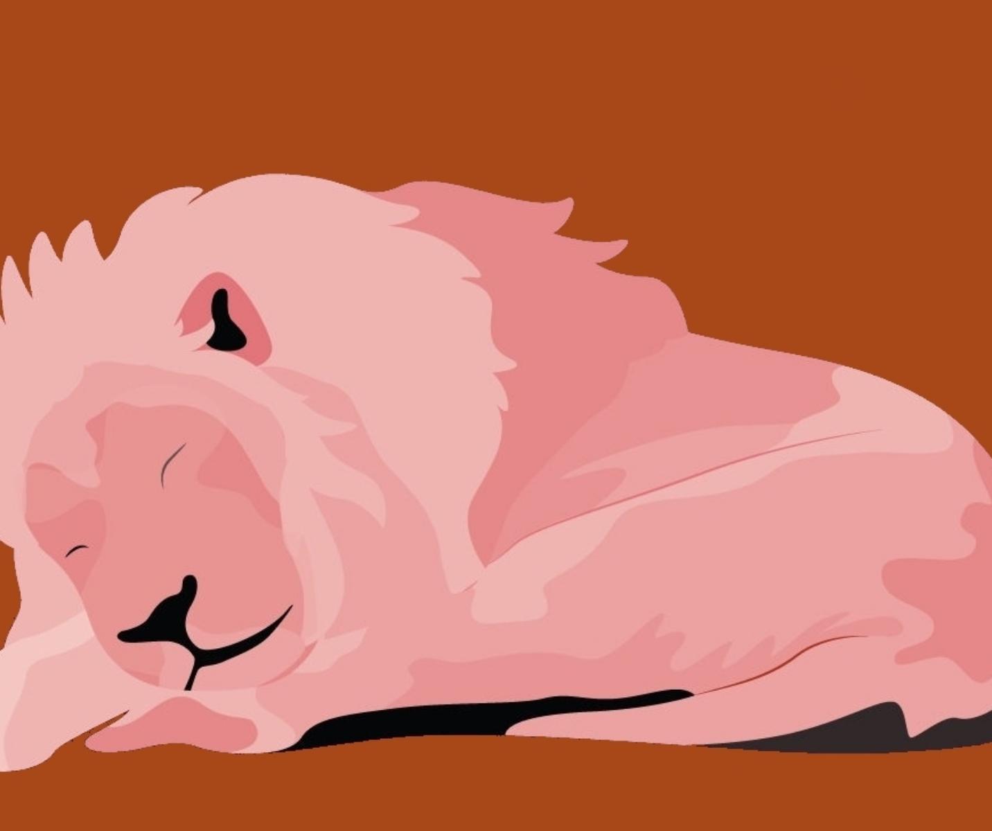 Lion Chronotype