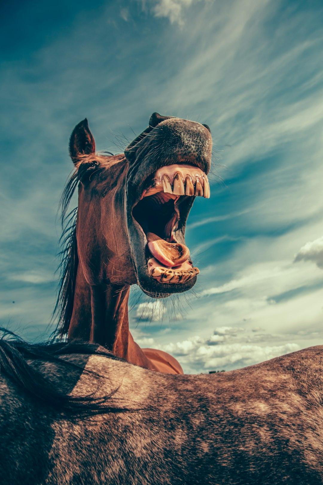 Startup Shenanigans: A Weird & Funny Guide on Starting a Business