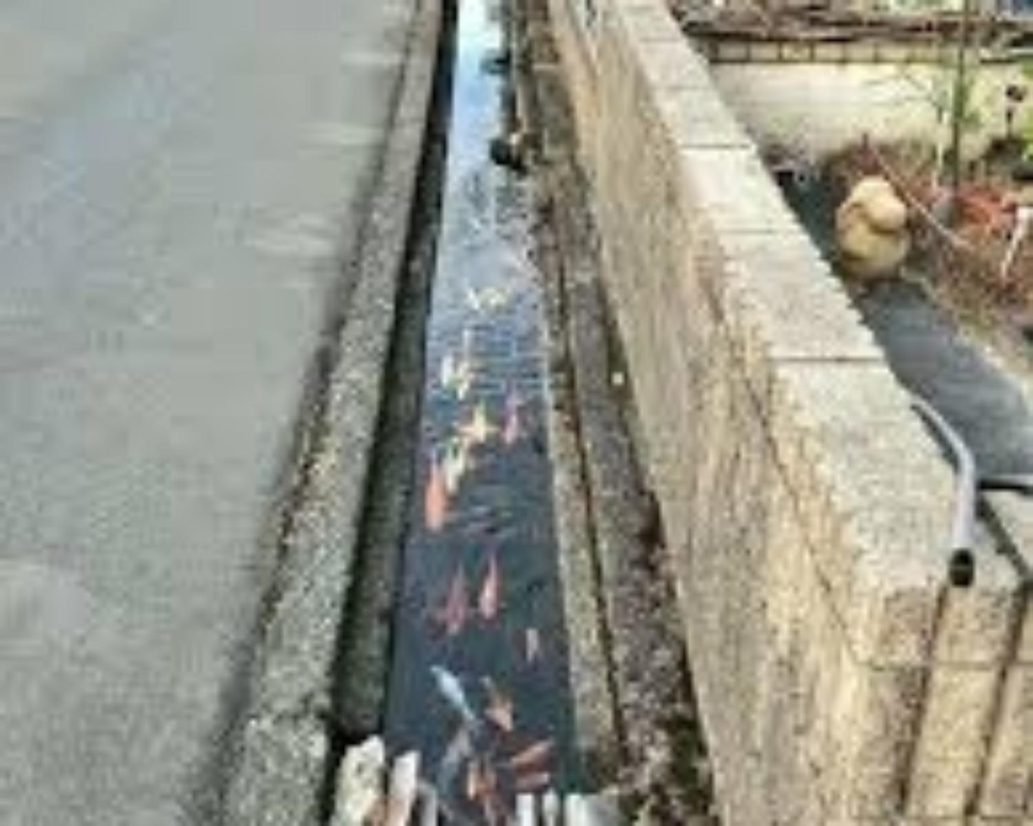 2. Cleanliness
