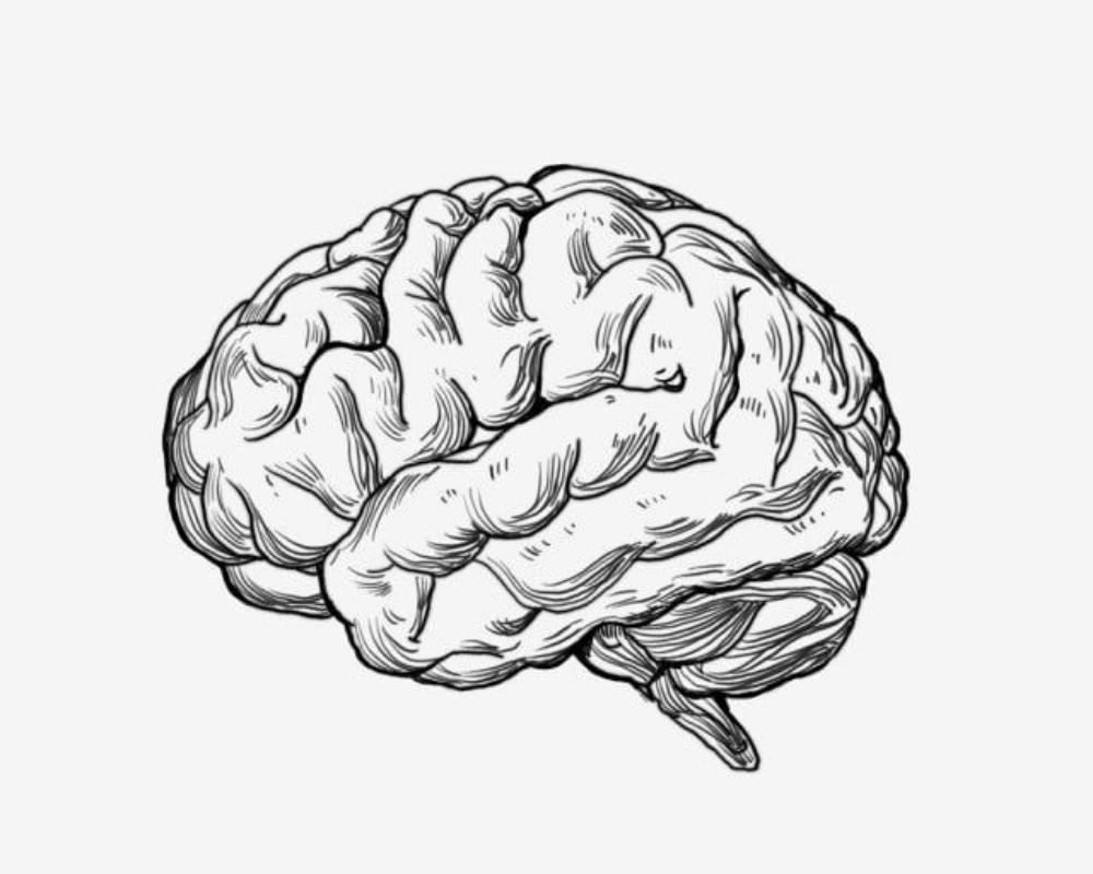 Stress vs. Pressure (Mental Battle)