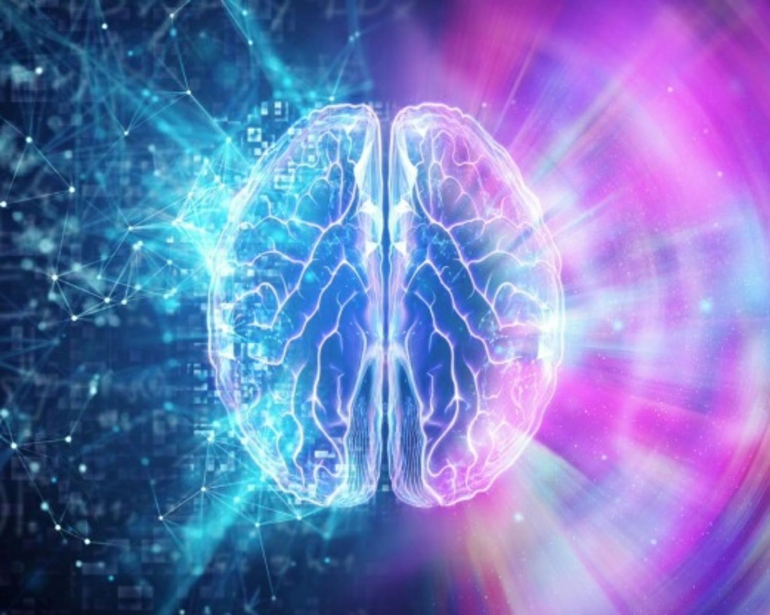 Science Explains The Chimp Paradox Pt1