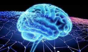 Brain Efficiency