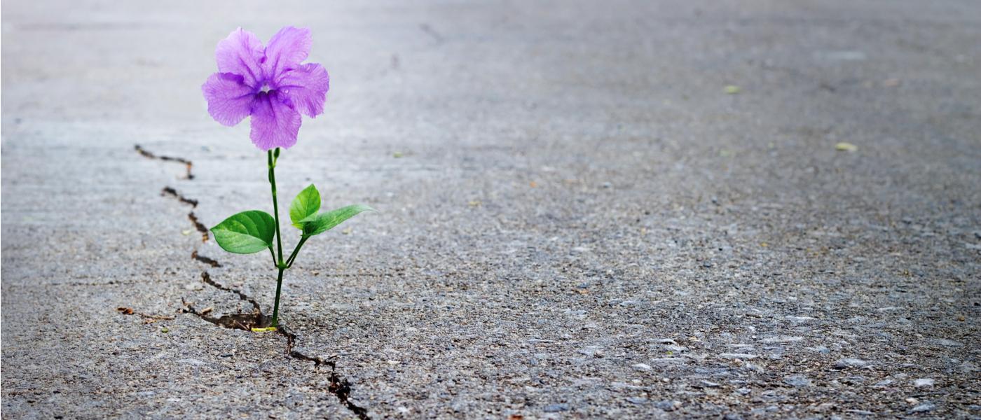 Caution and Hope