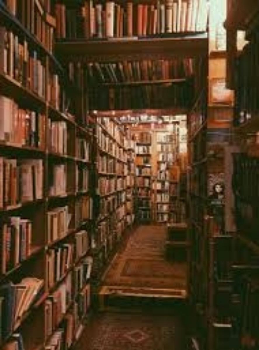 Umberto Eco's Collection of Books