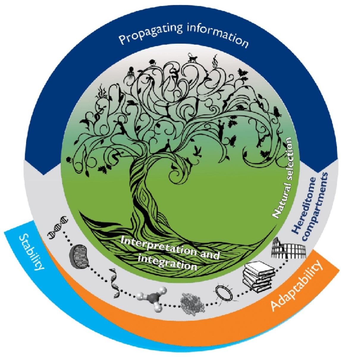 The Information Continuum Model Of Evolution - Key Points 2 of 2