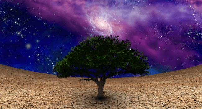 1. The Law of Pure Potentiality