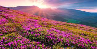 1 - Mingle more with nature