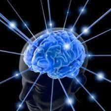 1. Remember that your brain was built for an earlier era.