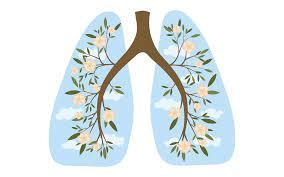 Mindfulness Exercise #1:  Deep Breathing
