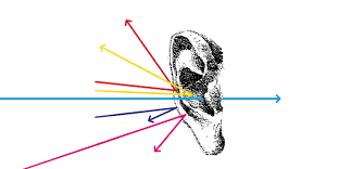 Mindfulness Exercise #6:  Really Listen