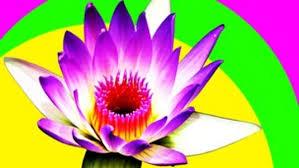 Mindfulness Quotes