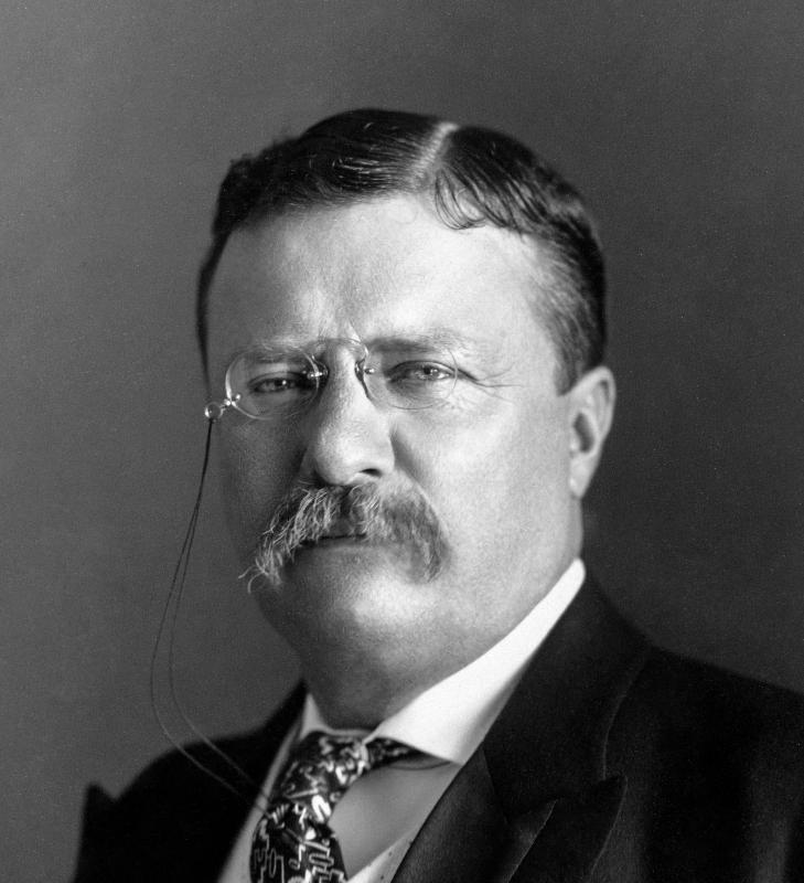 THEODORE ROOSEVELT