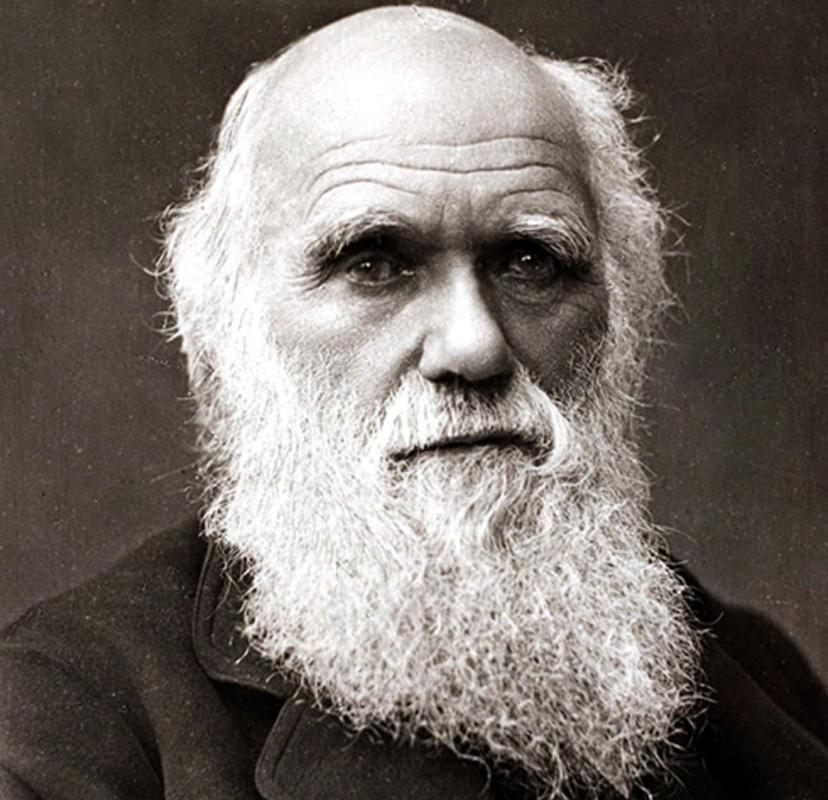 CHARLES DARWIN