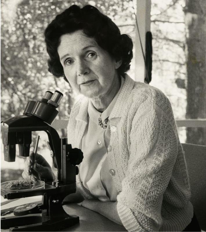 RACHEL CARSON