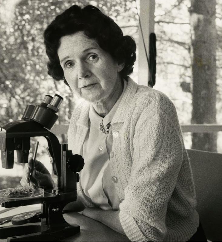 RACHEL CARSON