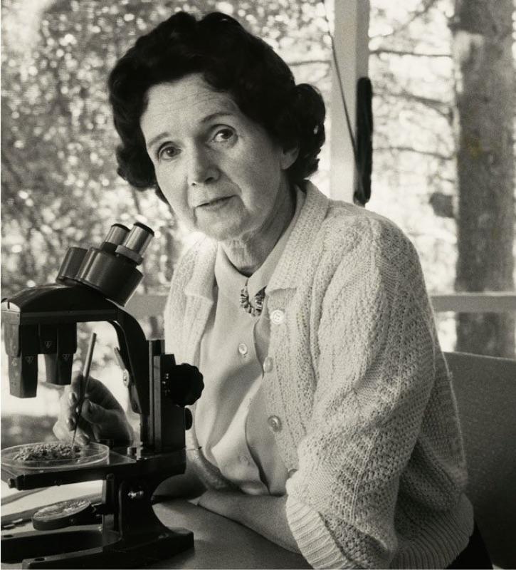 RACHEL CARSON