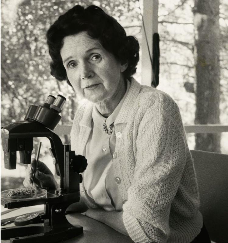 RACHEL CARSON