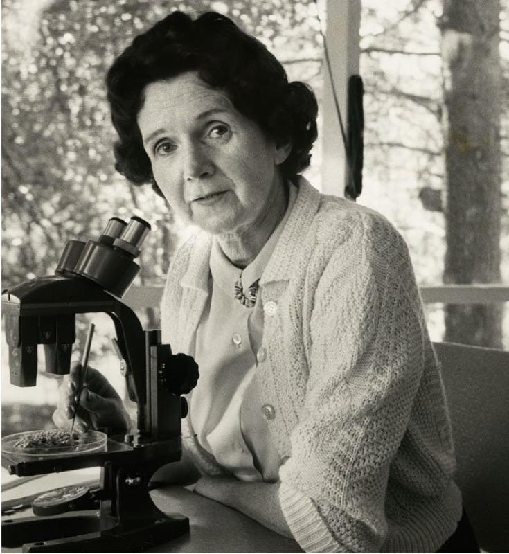 RACHEL CARSON