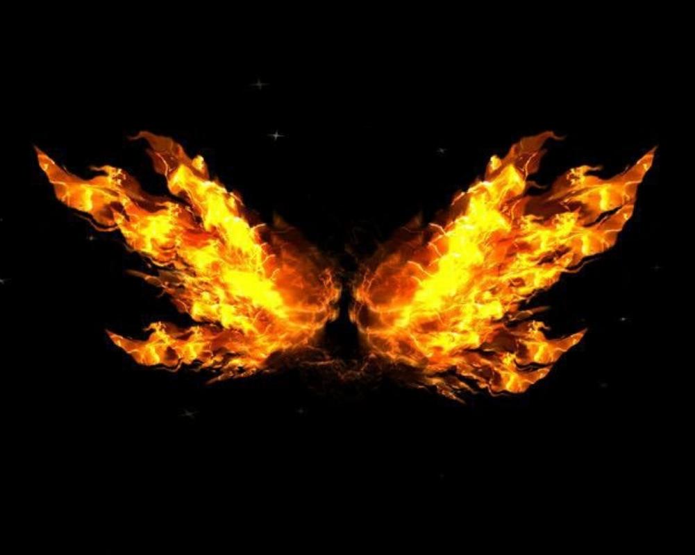 Top 6 lesson learned from book - Wings Of Fire.