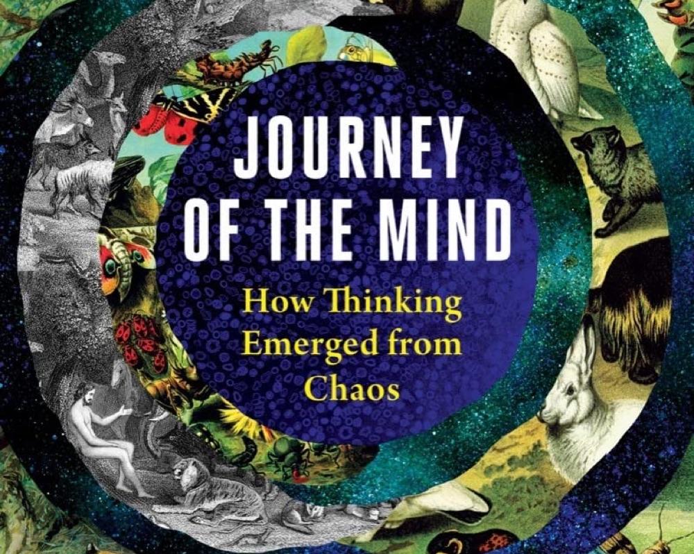 <p>Our experience of experienc...