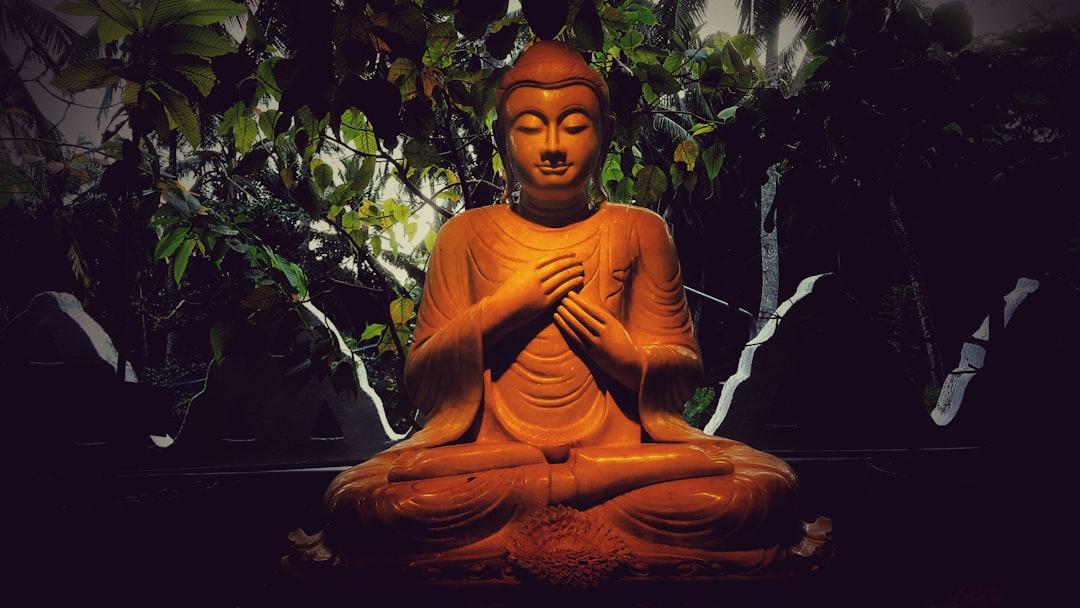 The Core of Clarity: 05 Pillars of Buddhist Wisdom