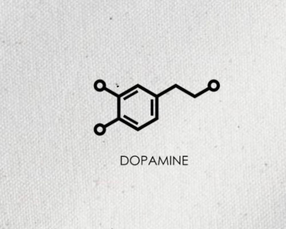 How to Dopamine Detox?