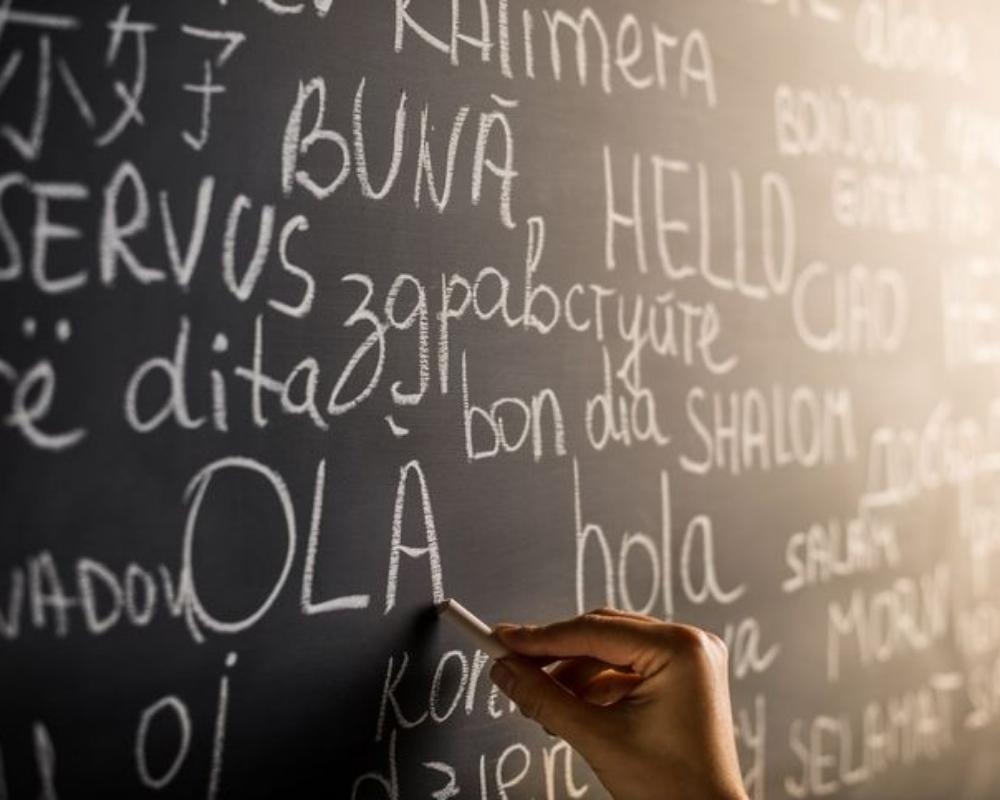 Decoding How to Learn any Language