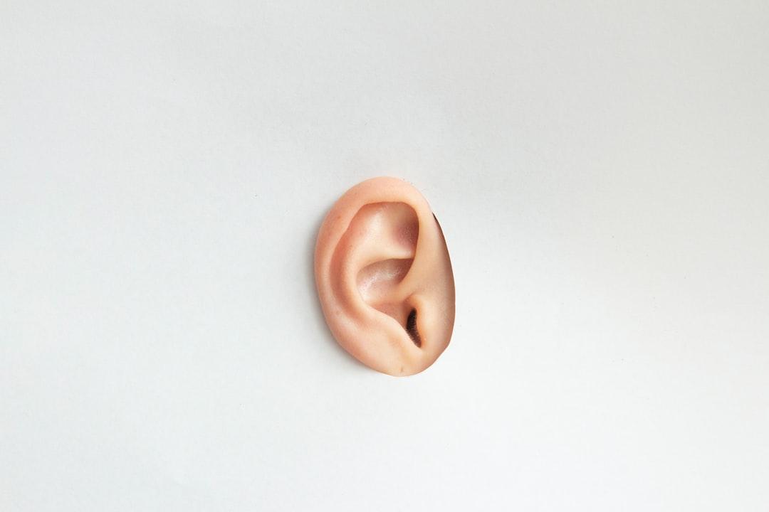 2 - Speaking and Listening Charisma Style (1)