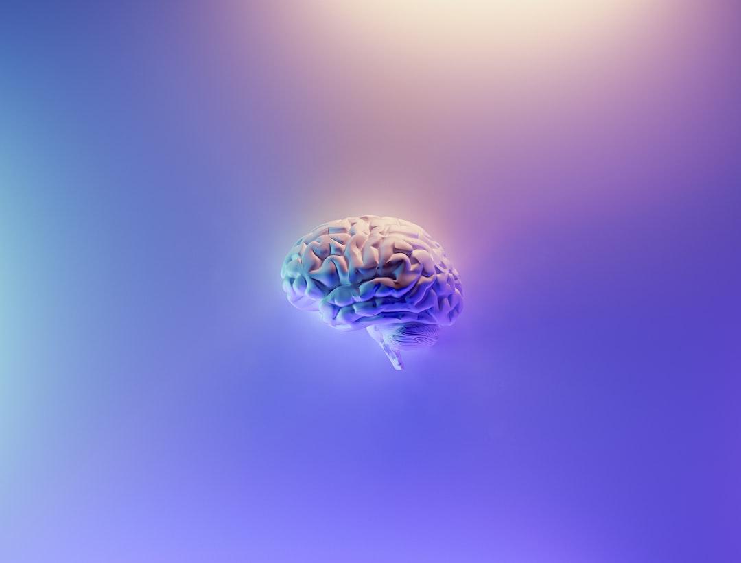 The Neurobiological Basis Of Fear