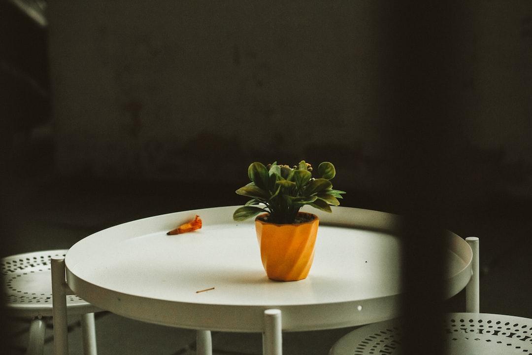 Silent Mastery: The Symbiosis of Self-Awareness