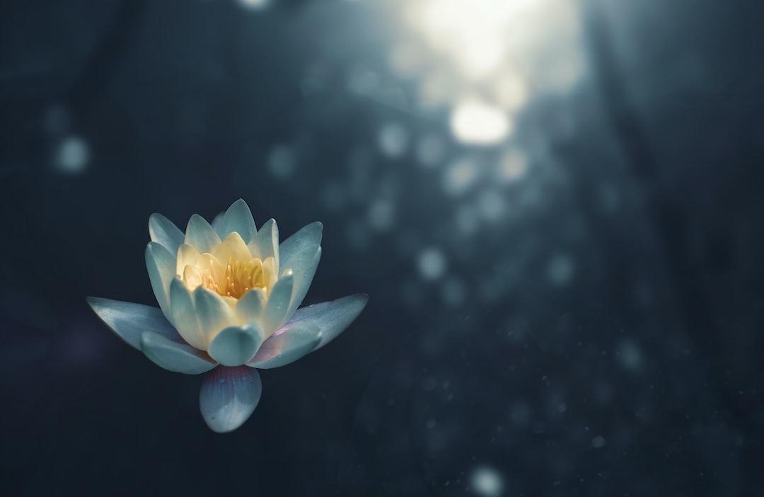 Free Meditation Scripts: Embracing a Youthful Spirit