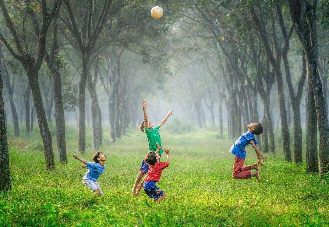 Promoting Wellness through Playful Movement