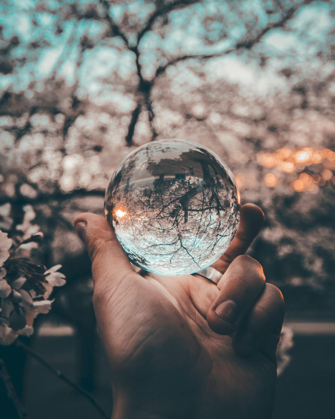 Embrace Self-Reflection