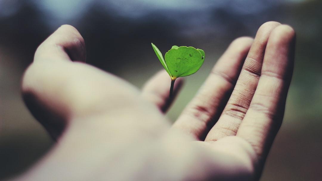 Cultivate a Growth Mindset