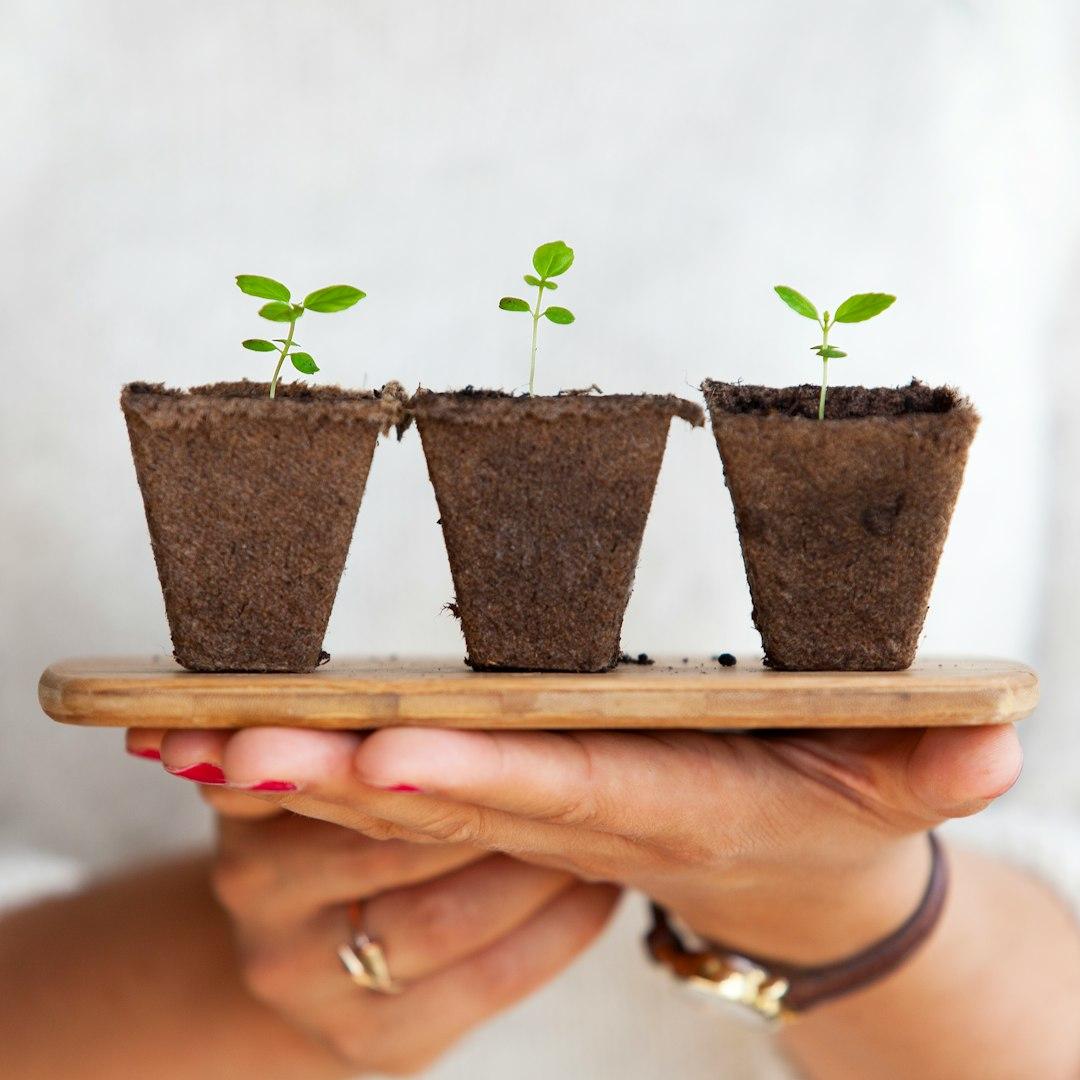 The Secret Life of Plants
